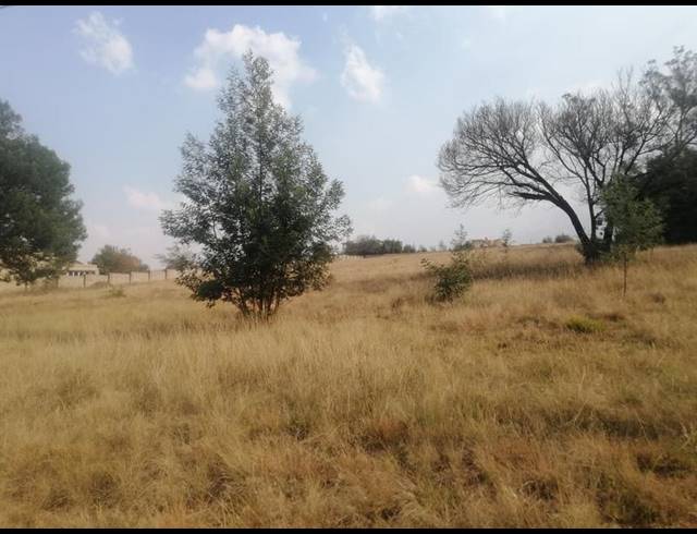 LAND FOR SALE IN WALKERVILLE CENTRAL